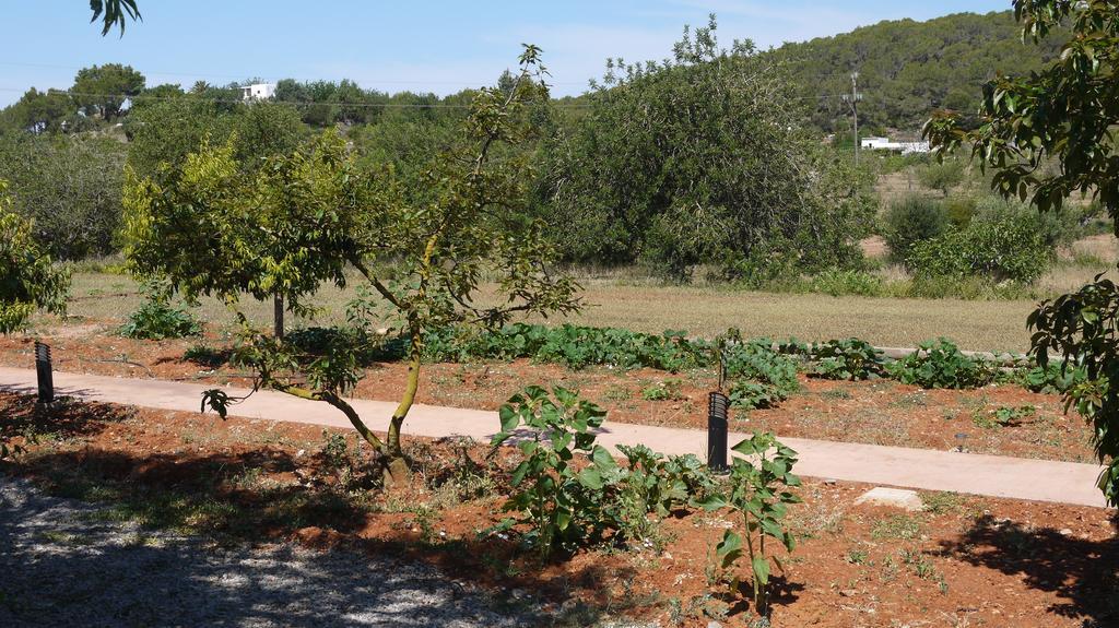 Can Gat Sant Carles de Peralta Bilik gambar