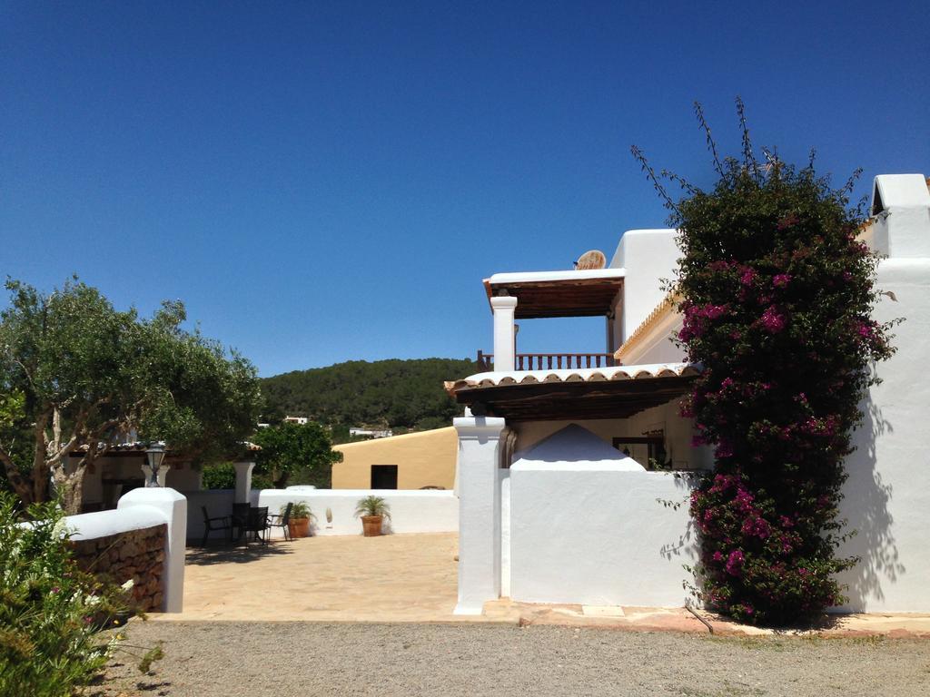 Can Gat Sant Carles de Peralta Bilik gambar